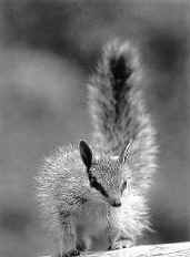 Любимая поза намбата