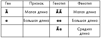 Таблица 6