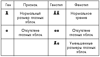 Таблица 11