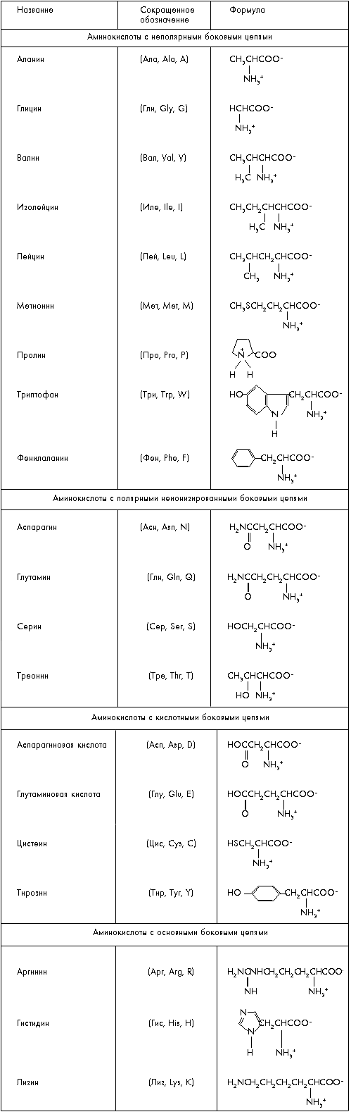 Класс аминокислот формула. 20 Альфа аминокислот формулы. Аминокислоты таблица формулы 20 биохимия. 20 Аминокислот таблица аминокислоты. Аминокислоты структурные формулы.