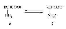 Рис. 1. Молекулярная (а) и цвиттерионная (б) формы аминокислот