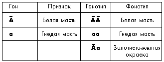 Таблица 3