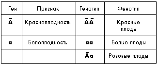 Таблица 5.