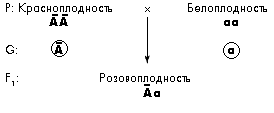 Схема 3