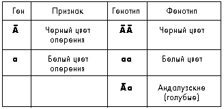 У человека кудрявые волосы доминируют над прямыми