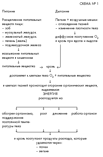 Схема №1