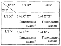 Таблица 2