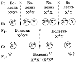 Схема 3