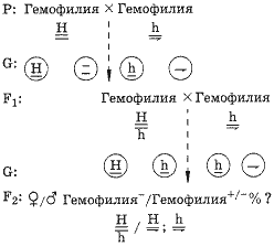 Схема 5