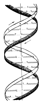 Рис. 3