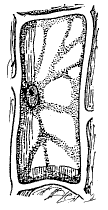 Рис. 34