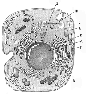 Рис. 17