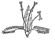 Рис. 53