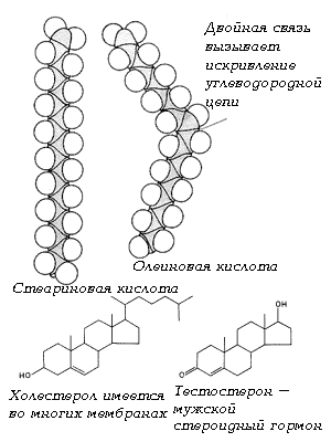 Рис. 9 и 10