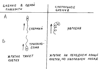 Схема 4