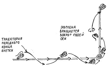 Схема 5