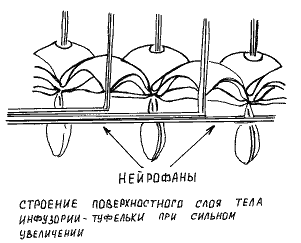 Схема 6