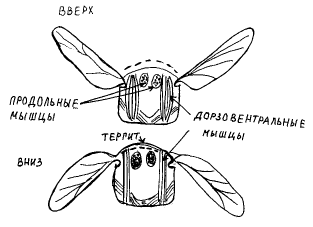 Схема 9