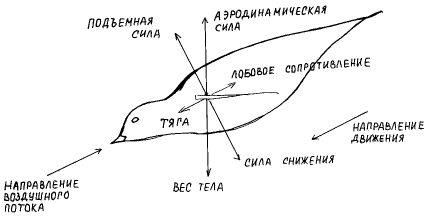 Схема 13