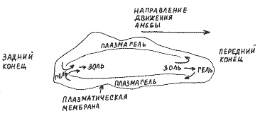 Схема 1