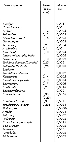 Таблица 4. Средний вес коловраток (Rotifera)