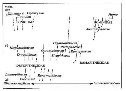 Рис. 4. б