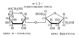 сахароза (формула Хеуорса)