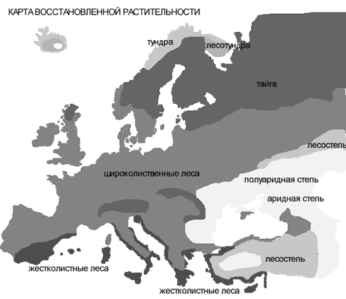 Рис. 7. Карта восстановленной растительности Европы