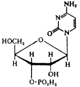 рибонуклеотид цитидин-3'-монофосфат