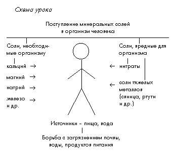 Растения и человек схема