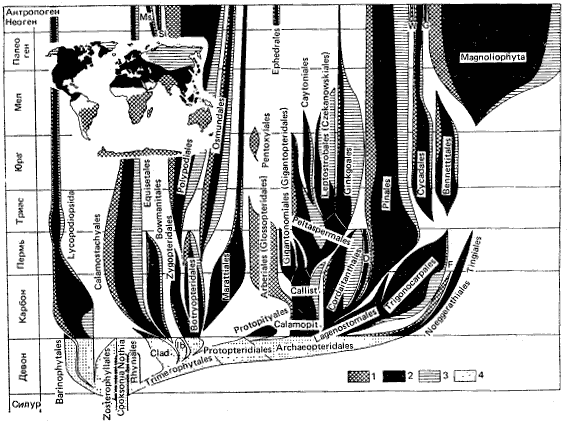 Рис. 4. Глобальный флорогенез по Мейену