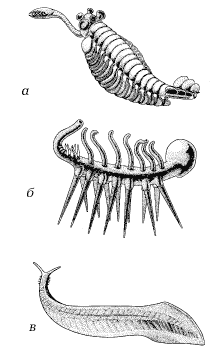 Рис. 18. 