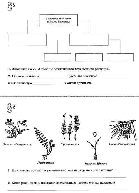Проверочная работа многообразие растений и животных. Задания царство растения 5 класс. Разнообразие растений задания. Упражнение про разнообразие растений. Задание по биологии растений.
