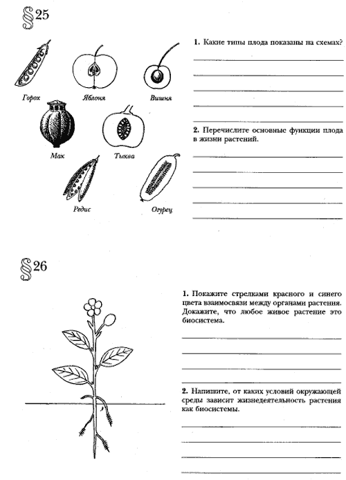 Карточки по биологии