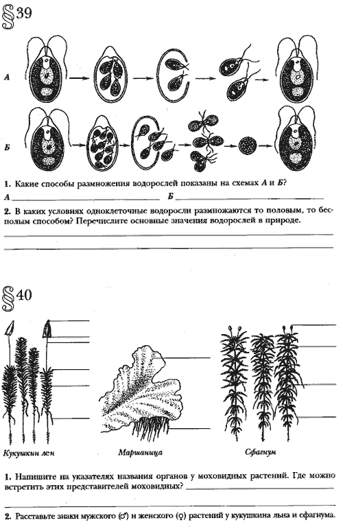 Олимпиадные задания по биологии 9 класс