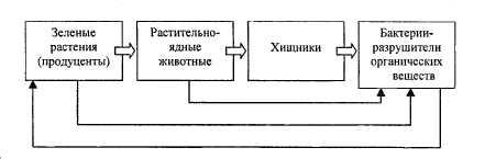 Цепи питания тайги 4. Схема питания тайги. Схема питания тайги 4. Схема цепи питания в тайге. Схема цепи питания характерной для тайги 4 класс.