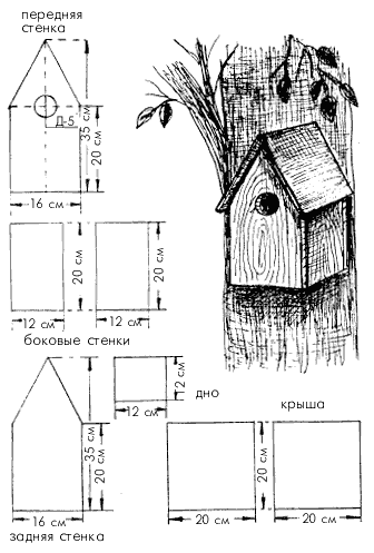 Чертеж скворечника