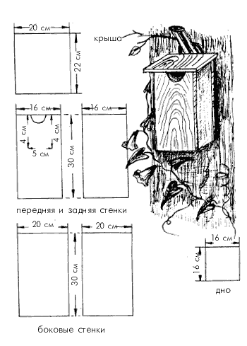 Чертеж скворечника