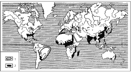 Рис. 9. Ареал возделывания араxиca: 1 – подземного: 2 – диких видов