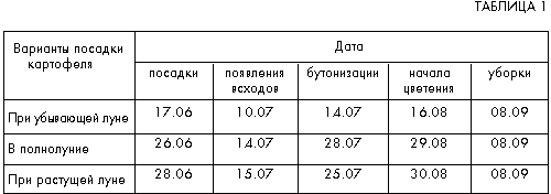 1 гектар картошки