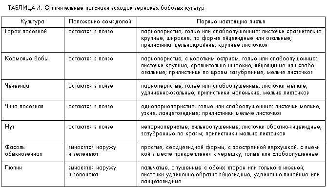 Признаки семян