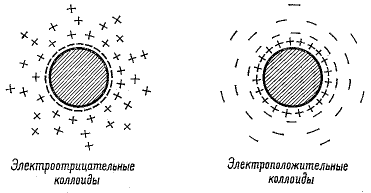 Рис. 10