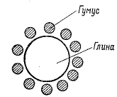 Рис. 11