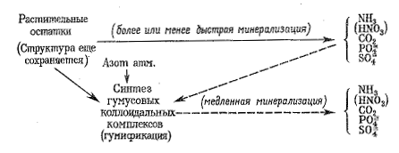 Рис. 12