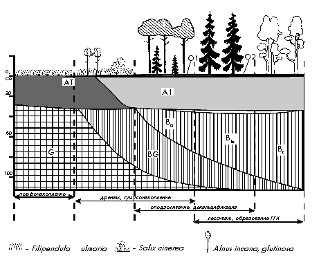 Рис. 27