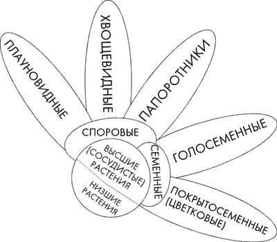 Рис. 2