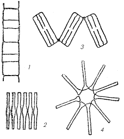 Рис. 1