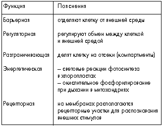 Клеточная мембрана строение и функции таблица