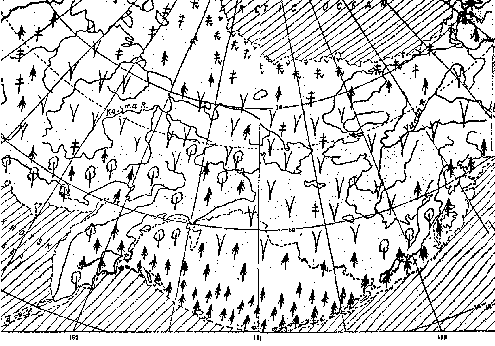 Рис. 1. Природная зональность в Берингии и прилегающих районах около 3 млн. лет назад