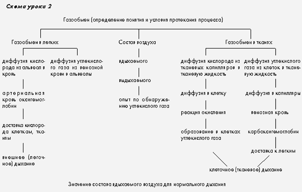 Схема газа обмена